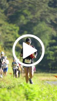 BIB:  <button type="button" onclick="openModal(26576546)" class="btn btn-primary btn-sm float-right" data-toggle="modal" data-target=".modal-high-quality">
                <i class="fa fa-download"></i> Download
                </button>